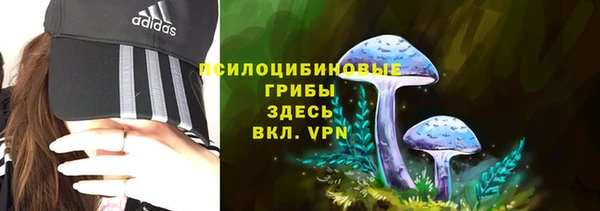 героин Алзамай