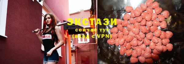 индика Покачи