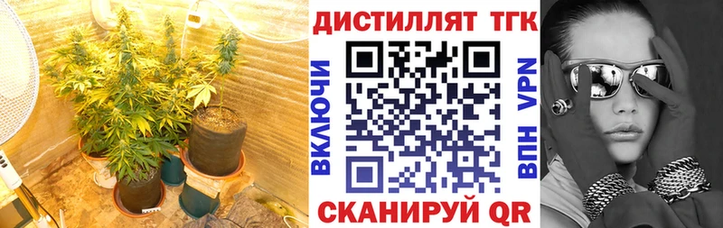 где купить наркоту  Лысьва  ТГК THC oil 
