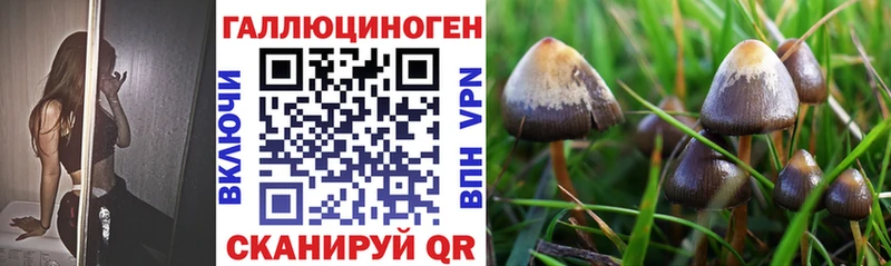 магазин  наркотиков  Лысьва  Псилоцибиновые грибы MAGIC MUSHROOMS 